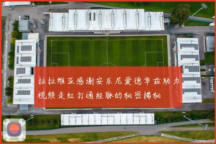 拉拉维亚感谢安东尼爱德华兹助力视频走红打通经脉的秘密揭秘