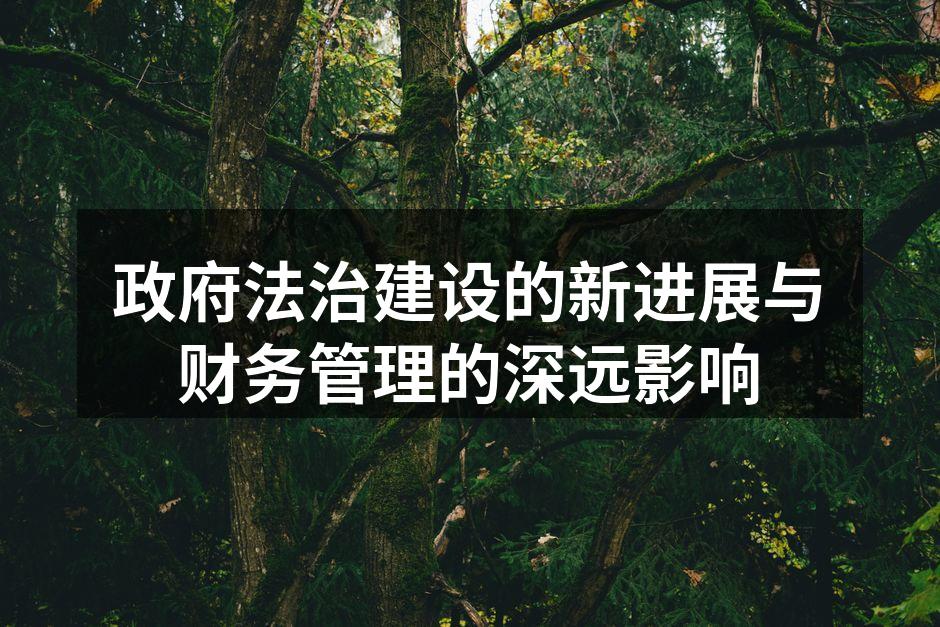 政府法治建设的新进展与财务管理的深远影响