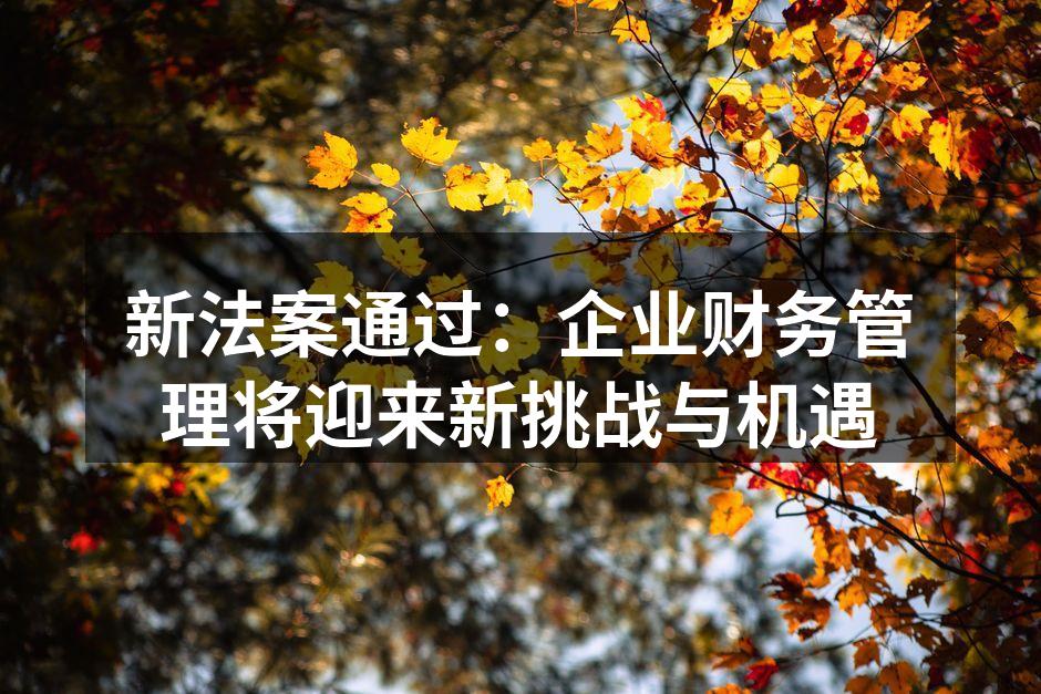 新法案通过：企业财务管理将迎来新挑战与机