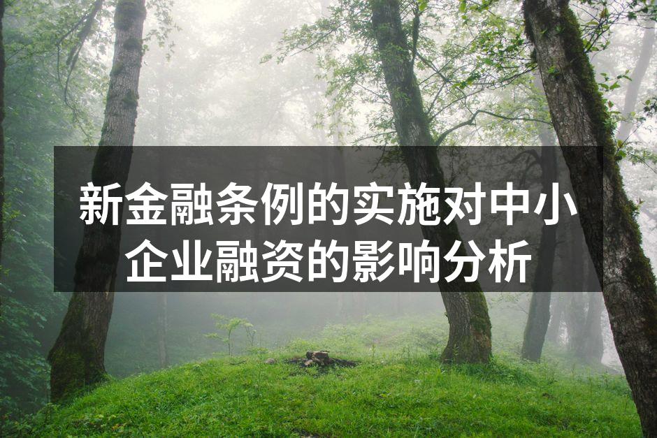新金融条例的实施对中小企业融资的影响分析