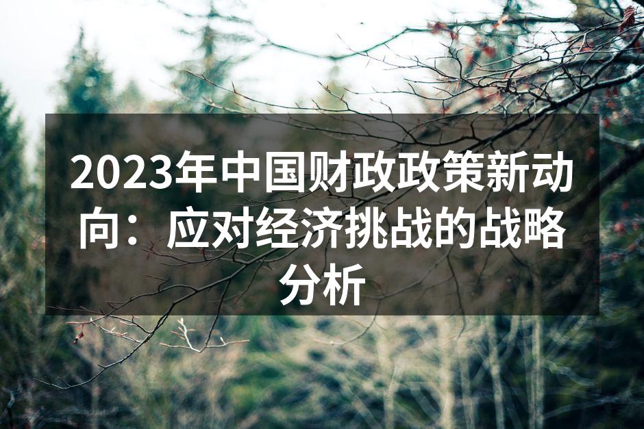 2023年中国财政政策新动向：应对经济挑战的战略分析