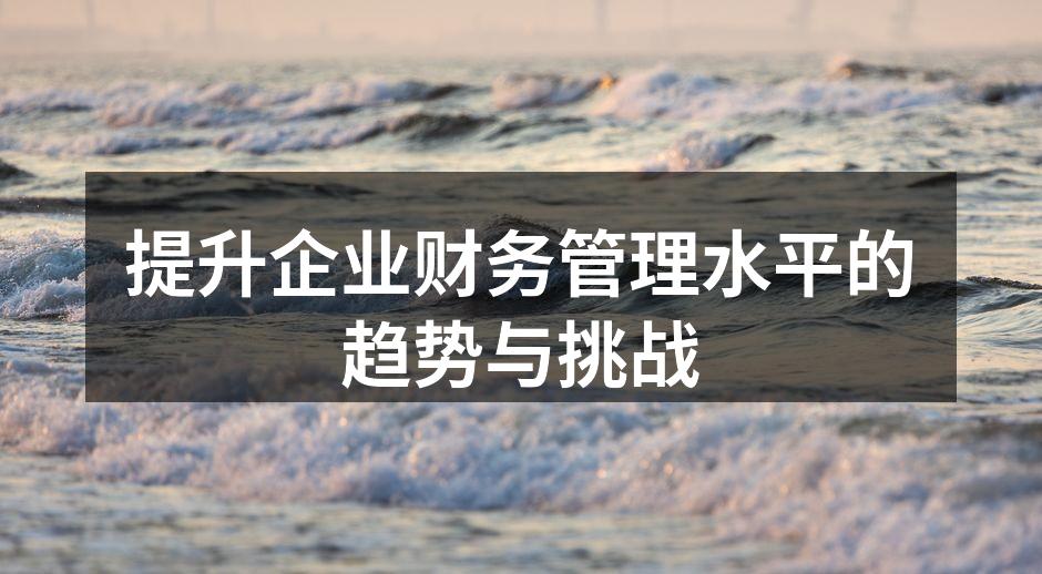 提升企业财务管理水平的趋势与挑战